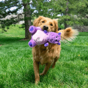 Por que os cães amam destruir pelúcias?