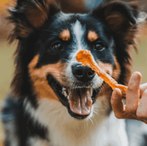 Mordedores naturais funcionam mesmo?