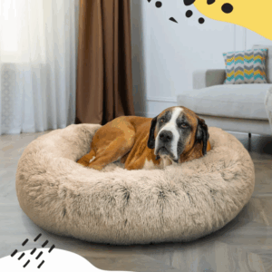 Como escolher a caminha ideal para o seu cachorro dormir melhor e com mais conforto?