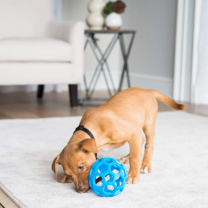 Quais são os melhores brinquedos para cachorro filhote que evitam destruição pela casa?