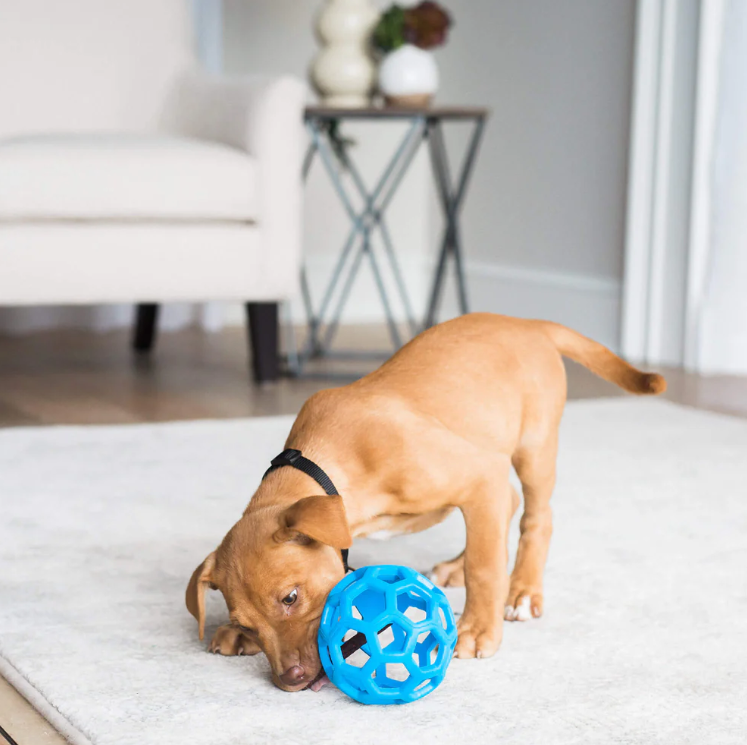 Quais são os melhores brinquedos para cachorro filhote que evitam destruição pela casa?
