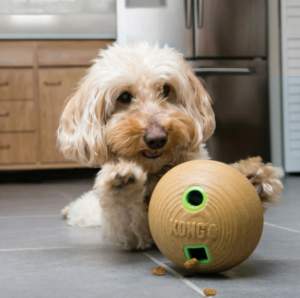 Brinquedos recheáveis para cães: como funcionam e como usá-los no dia a dia?