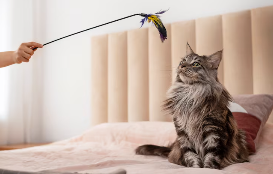 Varinhas para gatos: Por que estimulam tanto o instinto de caça?